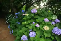 八幡神社の庭園