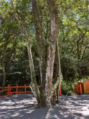 宇佐神宮(大分県)