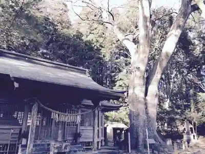 八幡大神社のその他建物