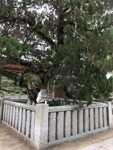 高砂神社の自然