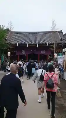 浅草神社のお祭り