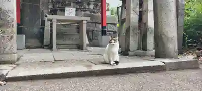 伏見稲荷大社(京都府)