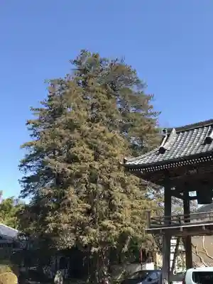 崇禅寺のその他建物