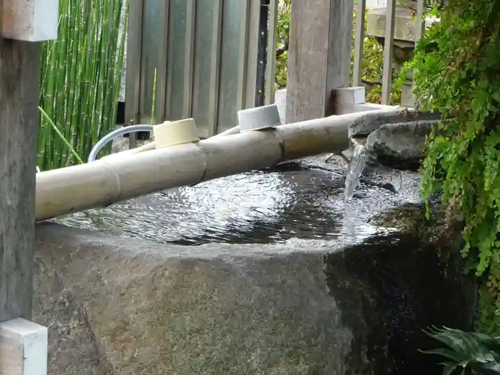 妙蓮寺の手水舎