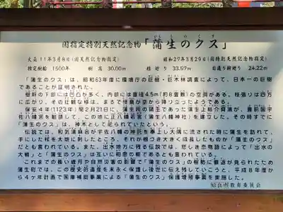 蒲生八幡神社のその他建物