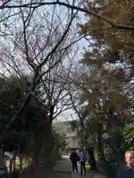 極楽寺(霊鷲山感應院極楽律寺)(神奈川県)