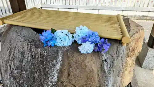 白金氷川神社の手水