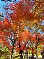 開成山大神宮(福島県)