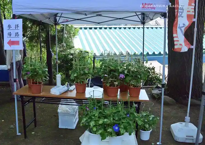 中山杉山神社(神奈川県)