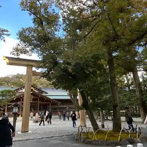 猿田彦神社の鳥居