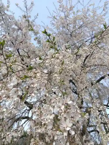 足羽神社(福井県)