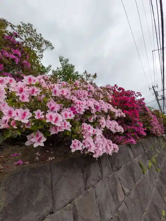 安養院 (田代寺)(神奈川県)