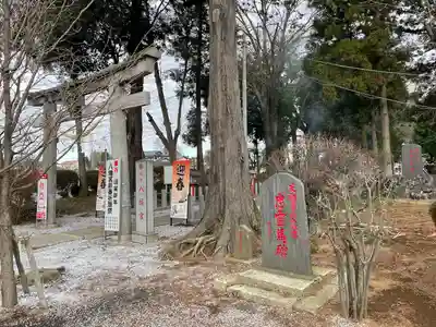 天狗山雷電神社の周辺
