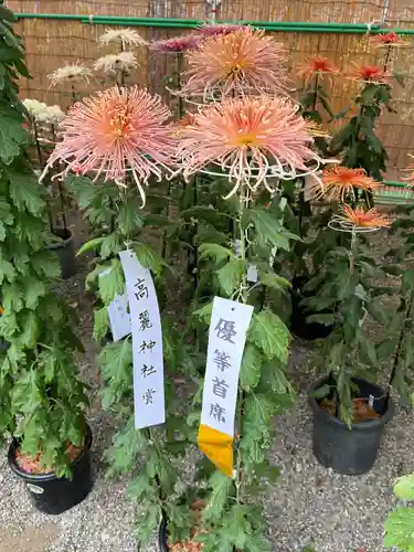 高麗神社(埼玉県)