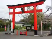 白笹稲荷神社の鳥居