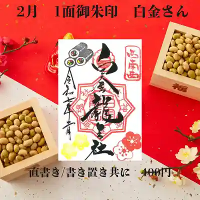 1面の白金さんです。