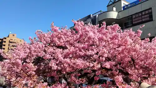 海南神社(神奈川県)