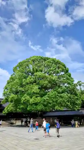 明治神宮(東京都)