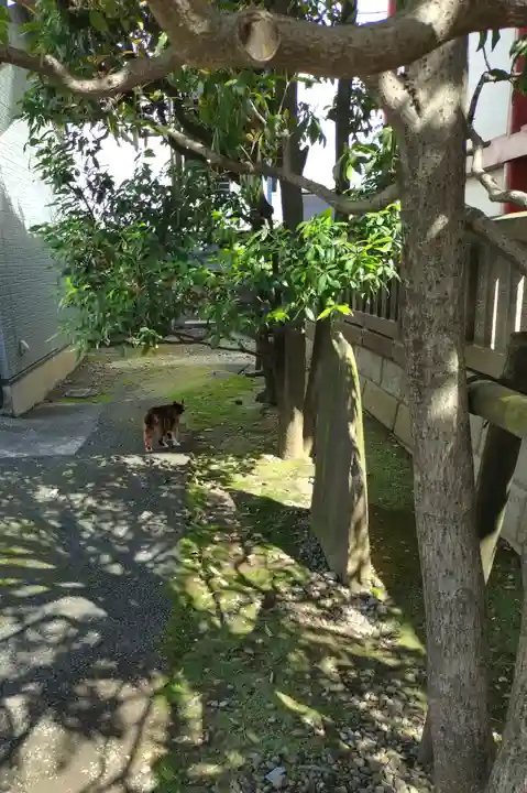 太宗寺(東京都)