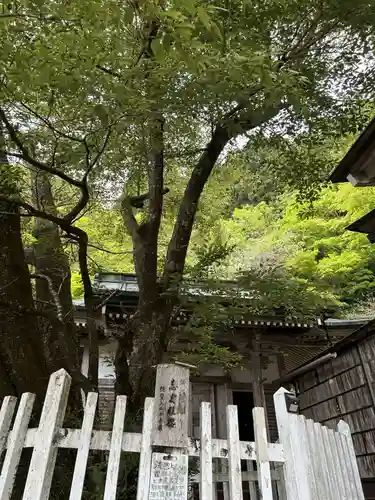 月輪寺(京都府)