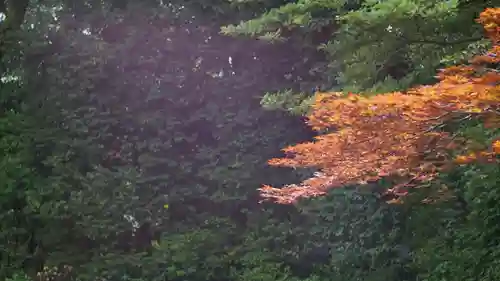 平安神宮(京都府)