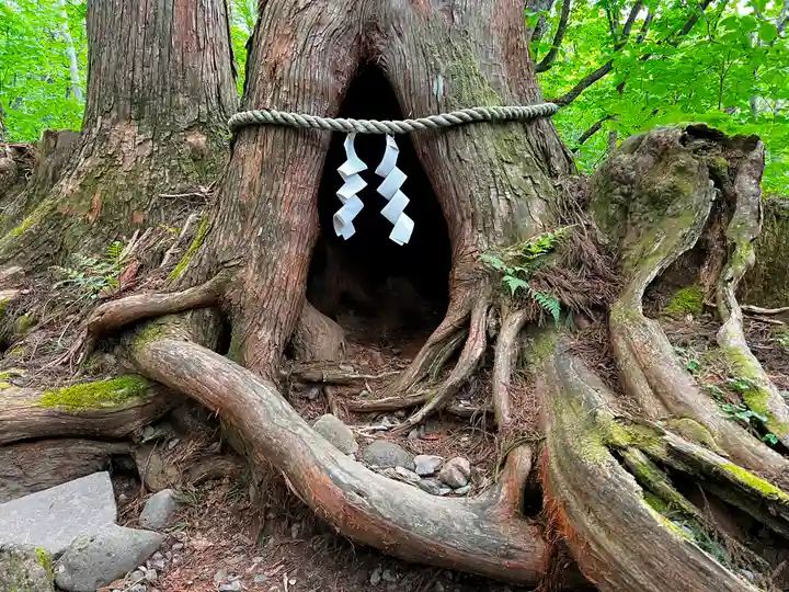 戸隠神社奥社(長野県)