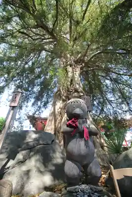 善養寺（善養密寺）(東京都)