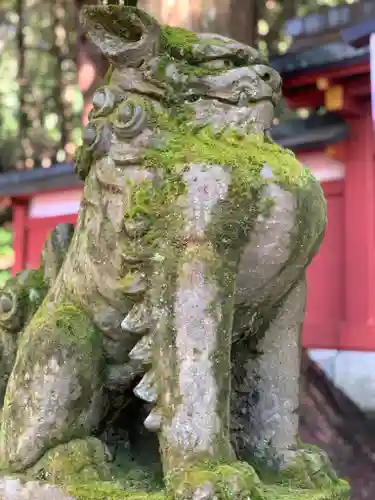 日光二荒山神社中宮祠の狛犬