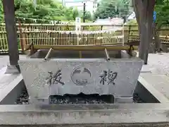 師岡熊野神社の手水