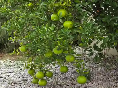 満徳寺(大阪府)