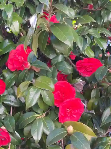 尉殿神社の自然