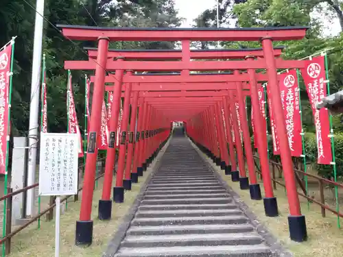 王地山まけきらい稲荷の鳥居