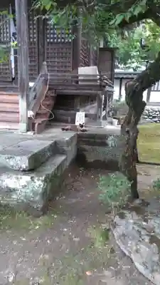 岳林寺の動物