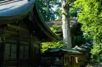雄山神社前立社壇の本殿・本堂