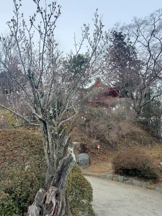 大光普照寺(埼玉県)