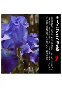 耕田院(山形県)(2023年06月09日(金) 05時10分28秒投稿)