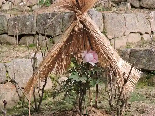 長谷寺(奈良県)