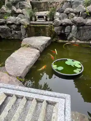 真野寺(千葉県)