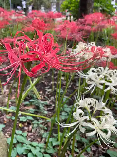 祖光院(千葉県)