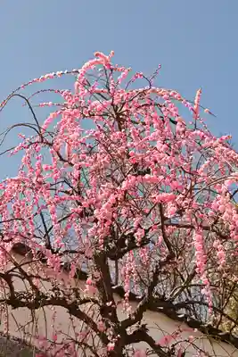 防府天満宮(山口県)