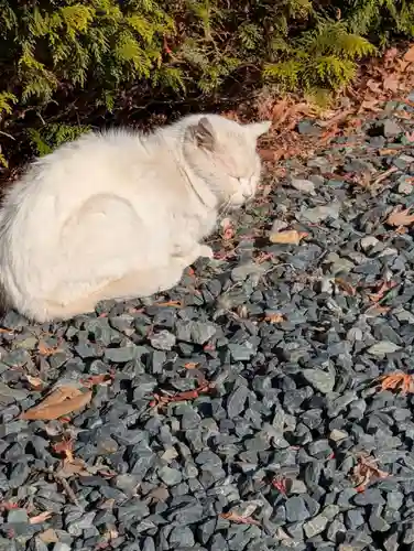 盛岡八幡宮(岩手県)