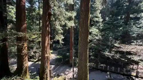 最乗寺（道了尊）(神奈川県)