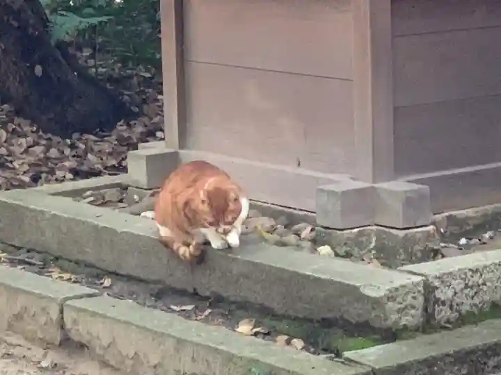 熱田神宮の動物