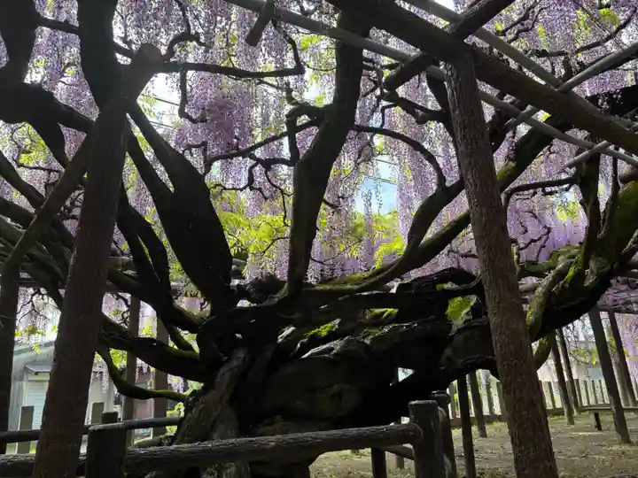 大神宮(福岡県)