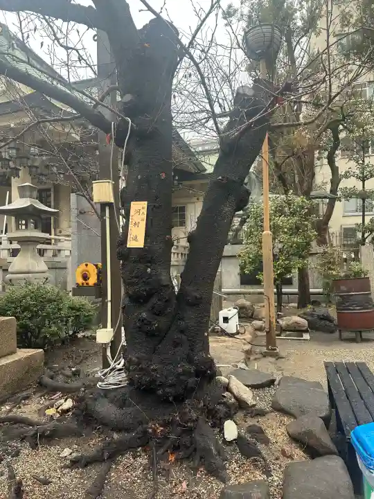 難波八阪神社の{uncategorized: "未分類", other: "その他", undefined: "問題あり", building: "その他建物", grave: "お墓", sacred_gate: "鳥居", guardian: "狛犬", statue: "像", buddha: "仏像", history: "歴史", nature: "自然", garden: "庭園", animal: "動物", pagoda: "塔", temizu: "手水舎", mountain_gate: "山門・神門", sanctuary: "本殿・本堂", subordinate: "末社・摂社", art: "芸術", scenery: "景色", jizo: "地蔵", ema: "絵馬", goshuin: "御朱印", omikuji: "おみくじ", items: "授与品その他", amulet: "お守り", goshuincho: "御朱印帳", eats: "食事", festival: "お祭り", votive_dance: "神楽", shichigosan: "七五三参", wedding: "結婚式", experience: "体験その他", initially: "初詣", around: "周辺", anti_infection: "感染症対策"}