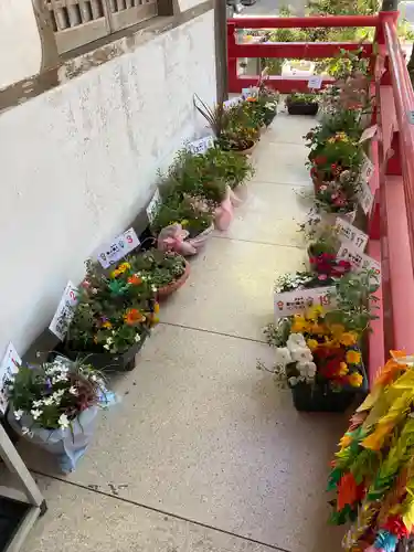 岩本寺(高知県)