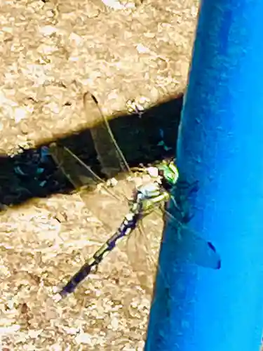 泊崎弘法大師堂(茨城県)