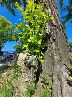 忌宮神社(山口県)