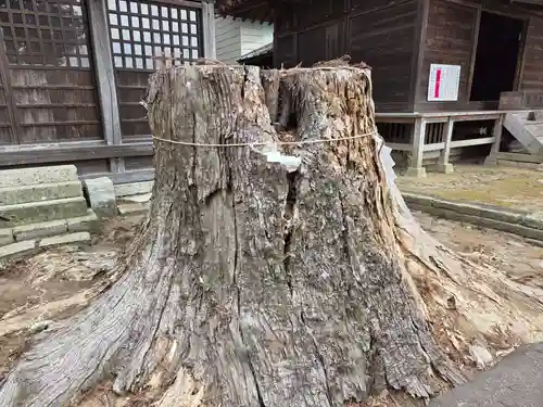 高龗神社(芦沼町)(栃木県)