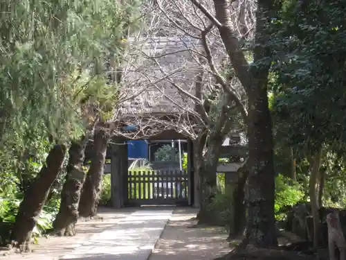 極楽寺（霊鷲山感應院極楽律寺）の庭園